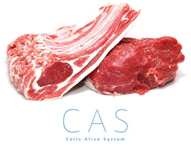 CAS -Cells Alive System-
