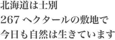 北海道は士別267ヘクタールの敷地で今日も自然は生きています