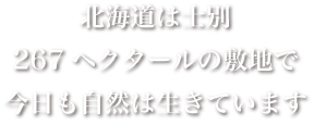 北海道は士別267ヘクタールの敷地で今日も自然は生きています